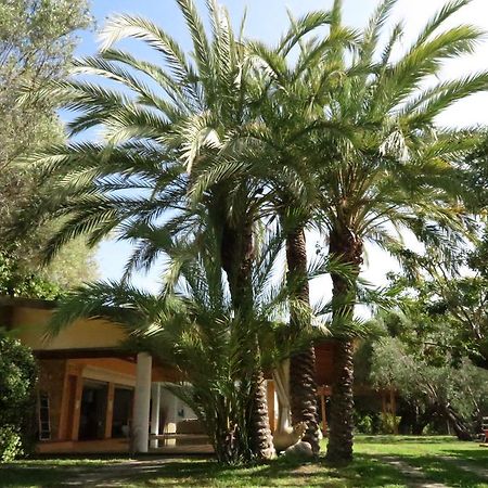 Villaggio Garden Park Marina di Camerota Eksteriør bilde