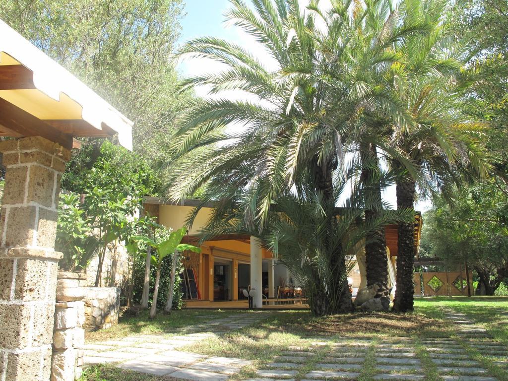 Villaggio Garden Park Marina di Camerota Eksteriør bilde