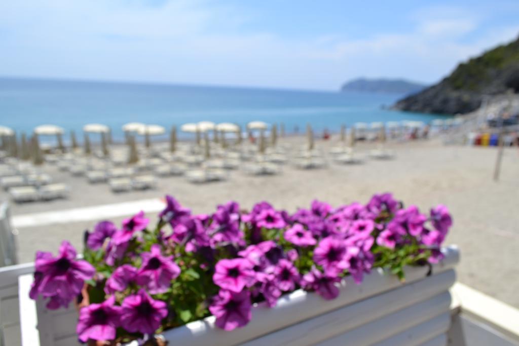Villaggio Garden Park Marina di Camerota Eksteriør bilde