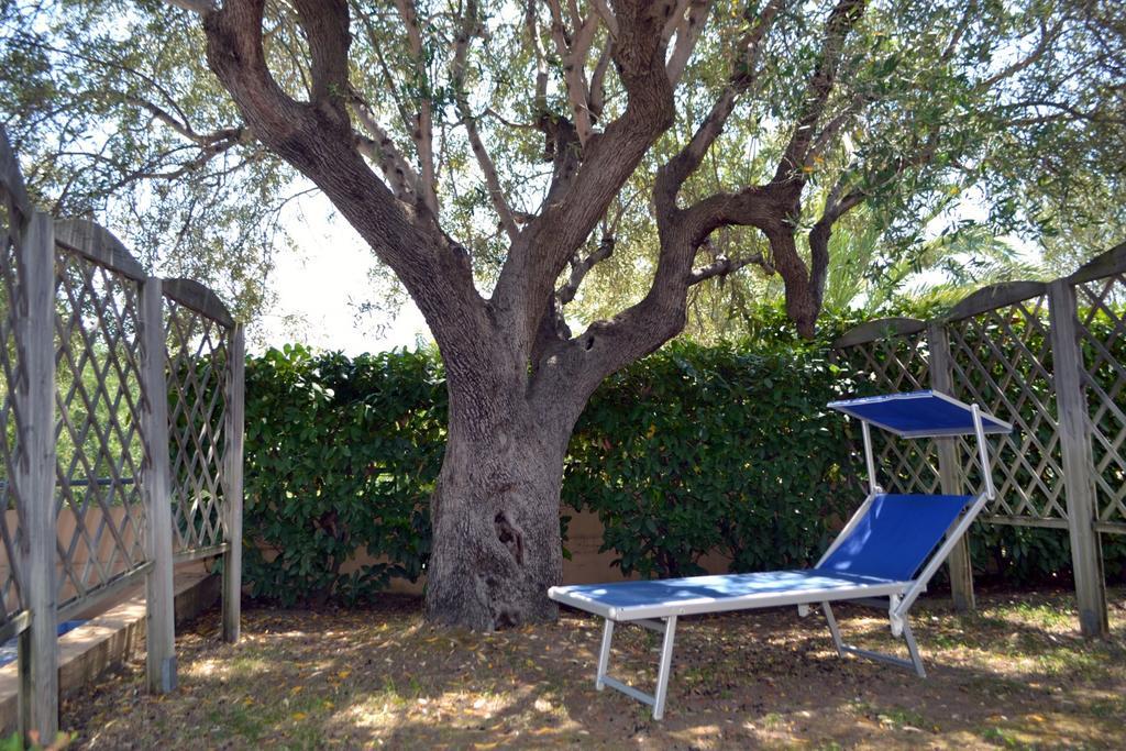 Villaggio Garden Park Marina di Camerota Eksteriør bilde