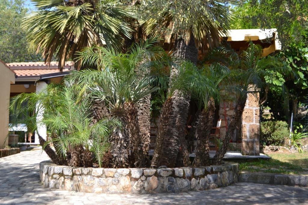 Villaggio Garden Park Marina di Camerota Eksteriør bilde