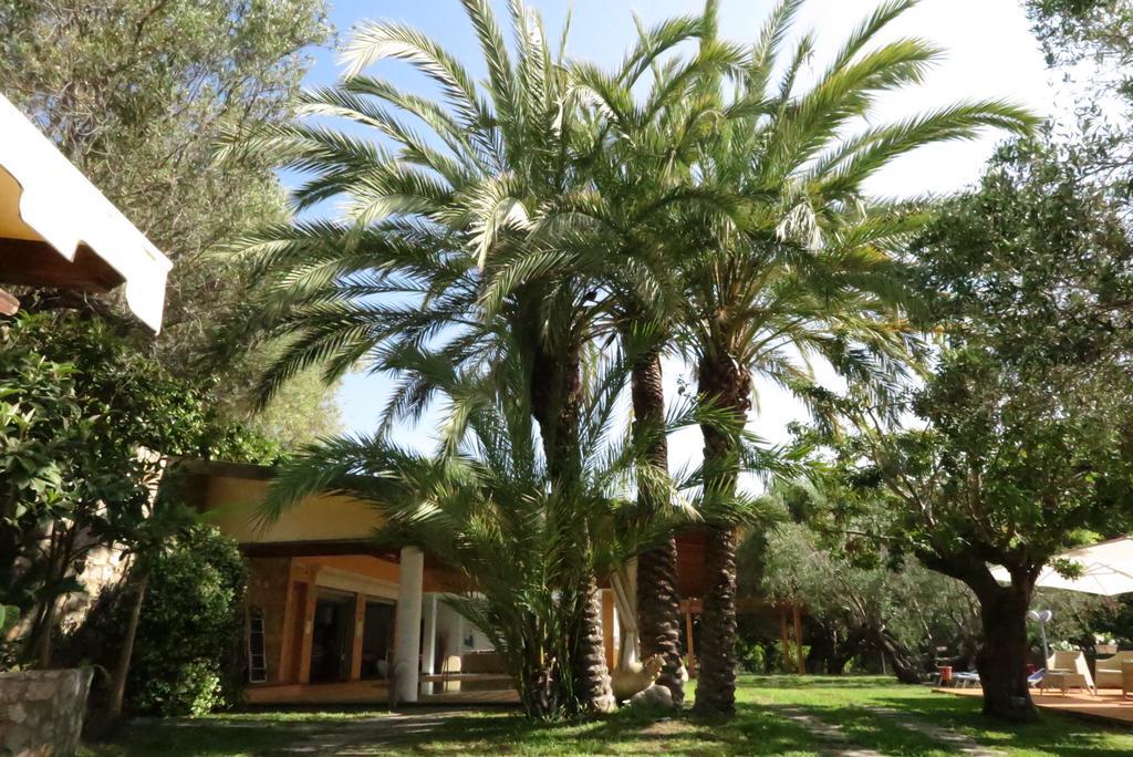 Villaggio Garden Park Marina di Camerota Eksteriør bilde