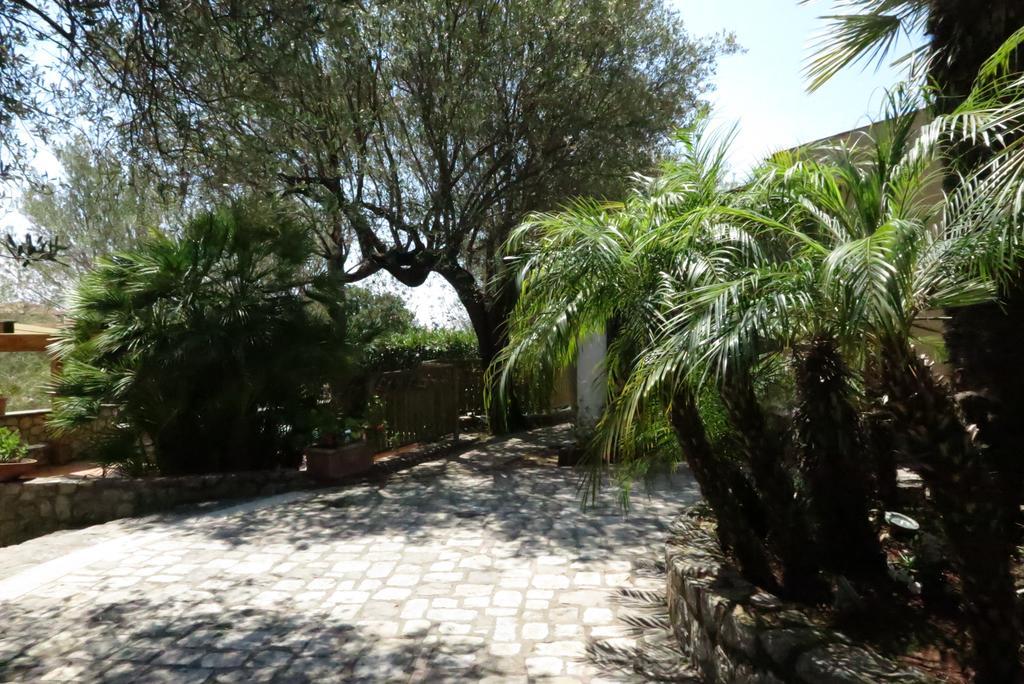 Villaggio Garden Park Marina di Camerota Eksteriør bilde